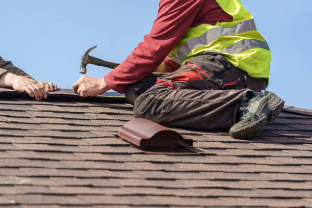 Best Commercial Roofing Services  in Luna Pier, MI
