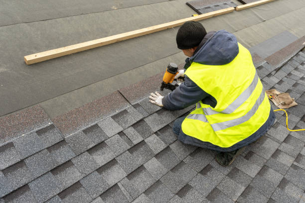 Best Roof Waterproofing Services  in Luna Pier, MI