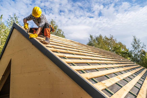 Best Local Roofing Companies  in Luna Pier, MI