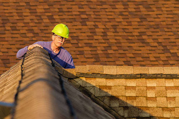 Best New Roof Installation  in Luna Pier, MI