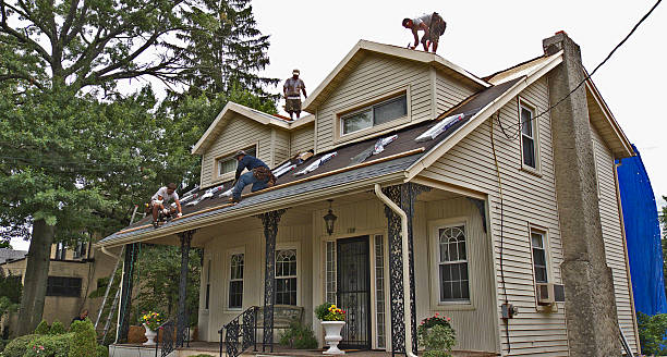 Best Roof Inspection Near Me  in Luna Pier, MI