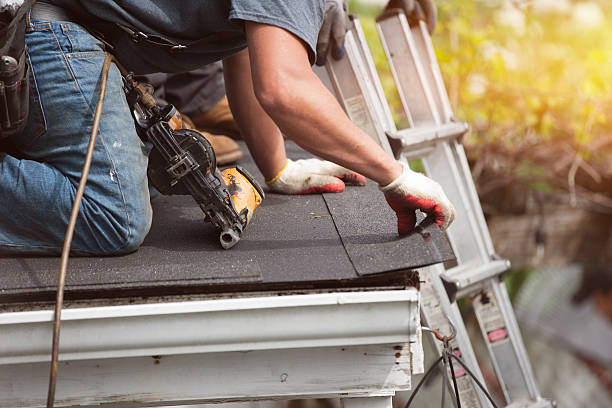 Best Roof Gutter Cleaning  in Luna Pier, MI