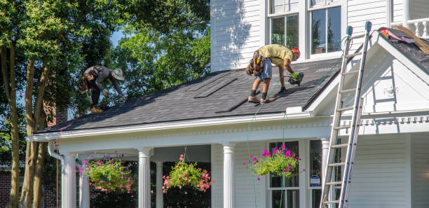 Best Roof Gutter Cleaning  in Luna Pier, MI