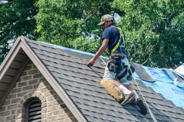 Best Residential Roofing Contractor  in Luna Pier, MI